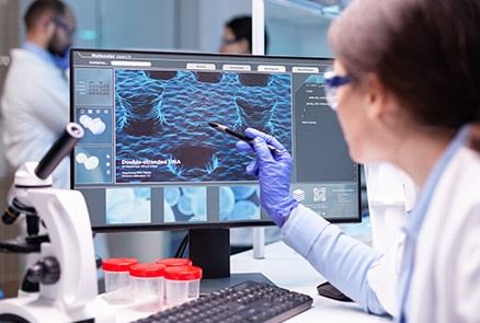 website.gallery_image 2