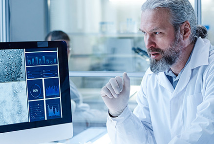 website.gallery_image 1