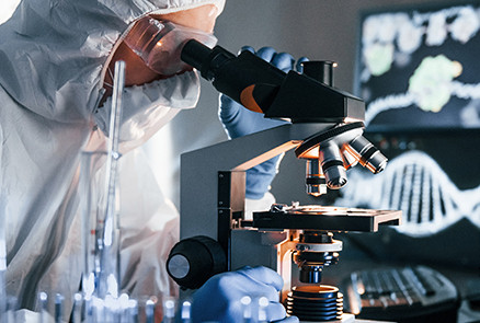 website.gallery_image 3